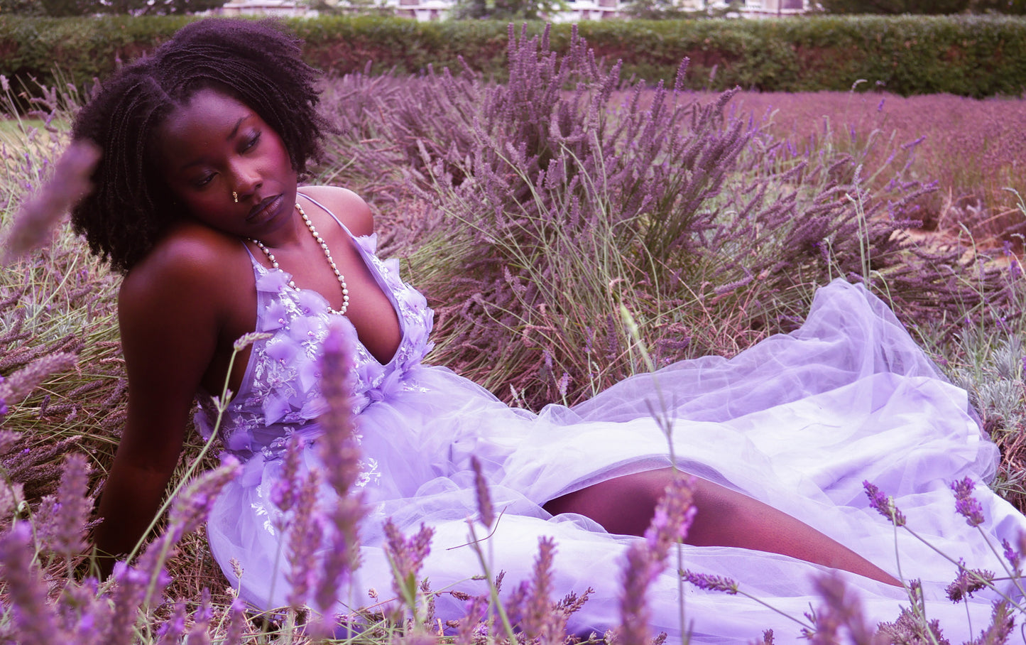 Lavender for the Soul